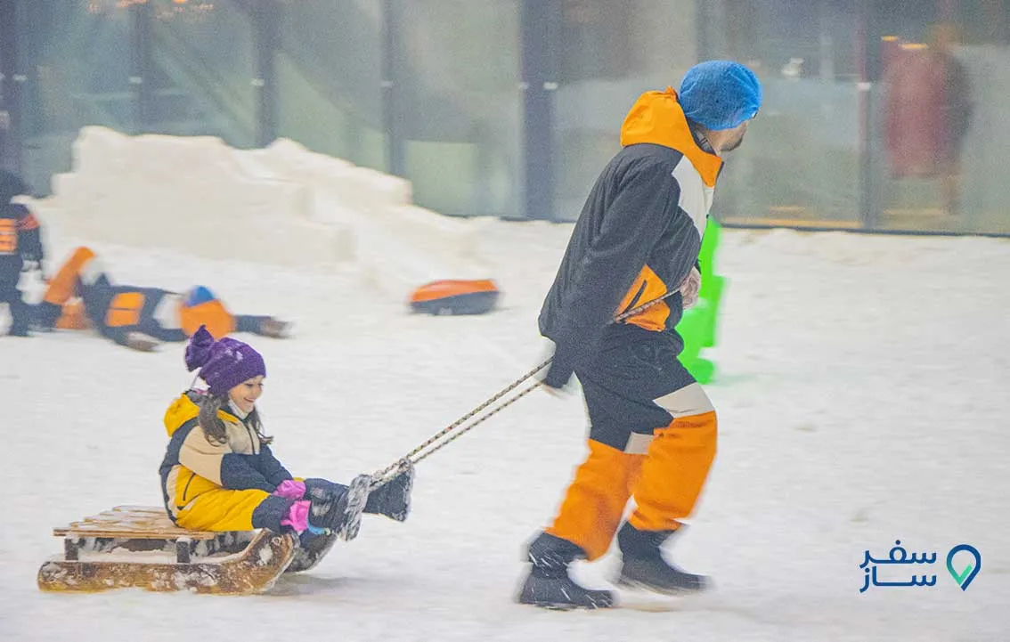 پارک برفی پنگوئن